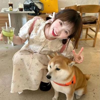 精灵鼠小弟